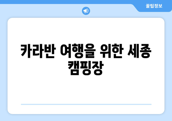 카라반 여행을 위한 세종 캠핑장