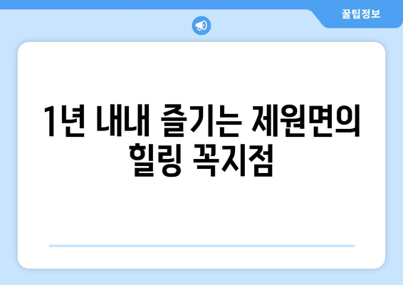 1년 내내 즐기는 제원면의 힐링 꼭지점