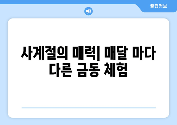 사계절의 매력| 매달 마다 다른 금동 체험