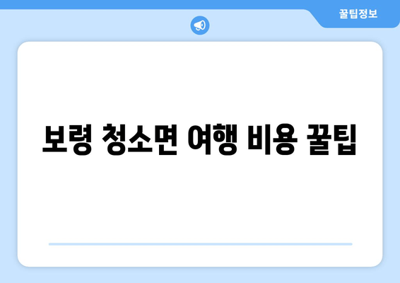 보령 청소면 여행 비용 꿀팁