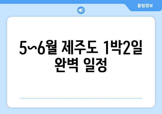 5~6월 제주도 1박2일 완벽 일정