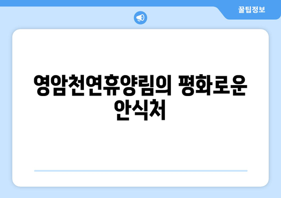 영암천연휴양림의 평화로운 안식처