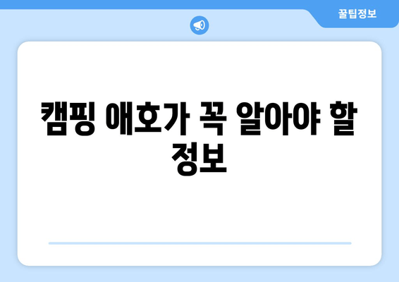 캠핑 애호가 꼭 알아야 할 정보