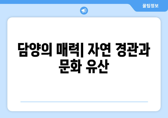 담양의 매력| 자연 경관과 문화 유산