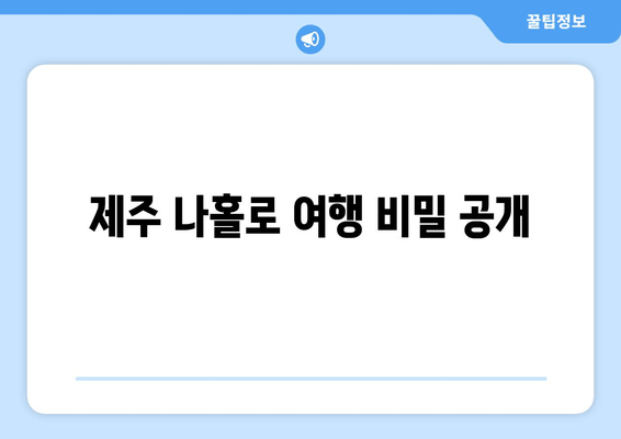 제주 나홀로 여행 비밀 공개