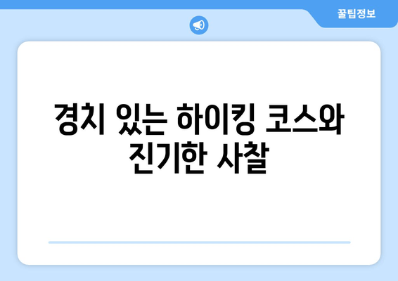 경치 있는 하이킹 코스와 진기한 사찰