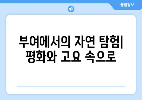 부여에서의 자연 탐험| 평화와 고요 속으로