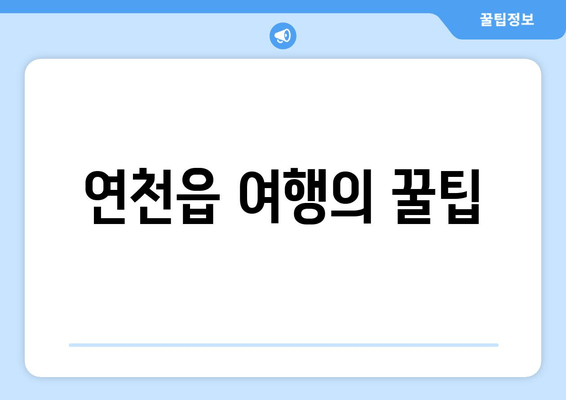 연천읍 여행의 꿀팁