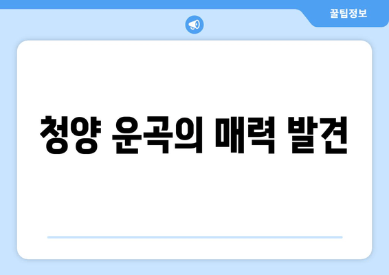 청양 운곡의 매력 발견