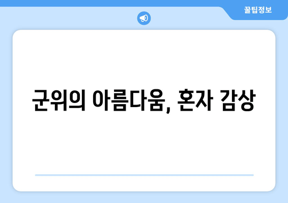 군위의 아름다움, 혼자 감상