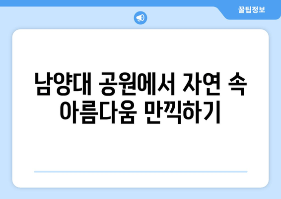 남양대 공원에서 자연 속 아름다움 만끽하기