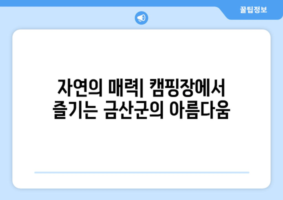 자연의 매력| 캠핑장에서 즐기는 금산군의 아름다움