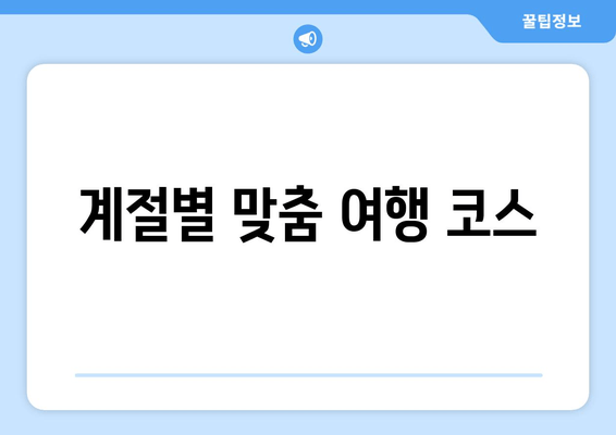 계절별 맞춤 여행 코스