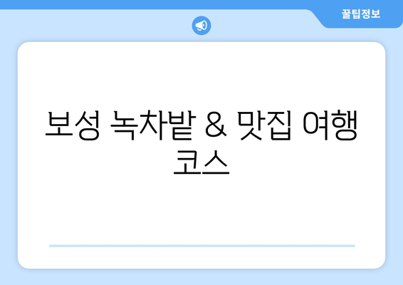 보성 녹차밭 & 맛집 여행 코스