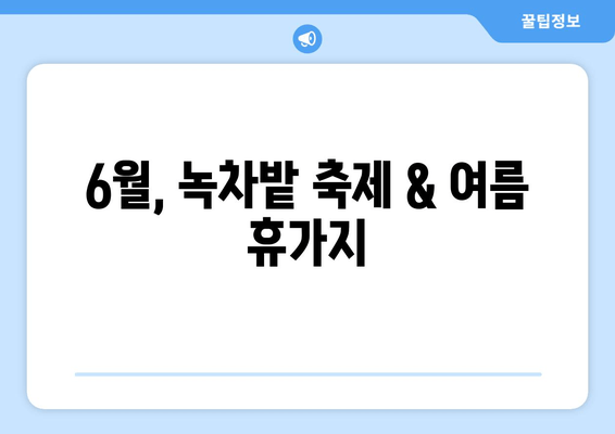 6월, 녹차밭 축제 & 여름 휴가지