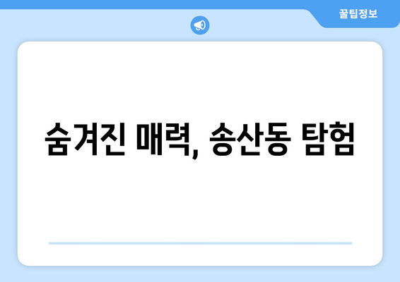 숨겨진 매력, 송산동 탐험