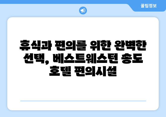 부산 송도 해수욕장 편안한 휴가, 베스트웨스턴 숙박 후기| 객실, 조식, 편의시설 총정리 | 송도 해수욕장, 부산 여행, 호텔 추천