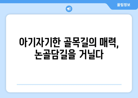 동해시 여행 필수 코스| 논골담길과 묵호등대, 숨겨진 매력을 찾아 떠나요! | 동해 가볼만한곳, 동해 여행, 논골담길, 묵호등대