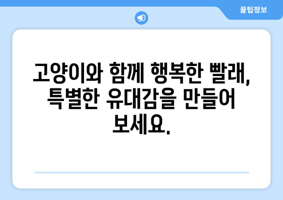 고양이와 빨래| 사랑스러운 유대감의 이야기 | 털 날림 없는 행복한 세탁 꿀팁 5가지