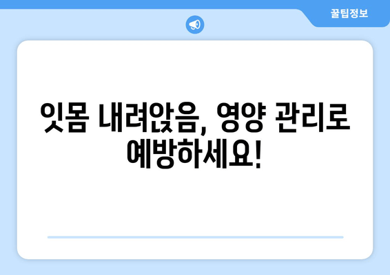 잇몸 내려앉음, 영양소로 되돌릴 수 있을까요? | 잇몸 건강, 잇몸 내려앉음 완화, 영양소 섭취