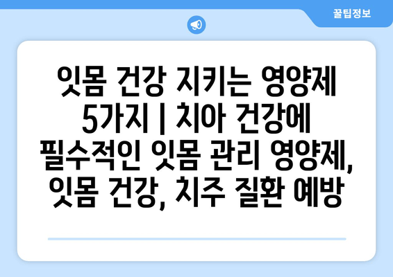 잇몸 건강 지키는 영양제 5가지 | 치아 건강에 필수적인 잇몸 관리 영양제, 잇몸 건강, 치주 질환 예방