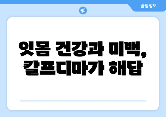 잇몸 드러남 개선에 효과적인 칼프디마 영양제 추천 | 잇몸 건강, 치아 미백, 잇몸 퇴축, 칼슘 보충