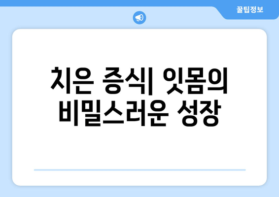 치은 증식, 치료적 개입과 미래 전망| 원인, 치료법, 예방까지 | 치주 질환, 치은염, 잇몸 질환, 치과 치료