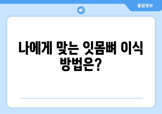 잇몸뼈 이식, 나에게 맞는 방법은? | 상태별 맞춤 치료 가이드