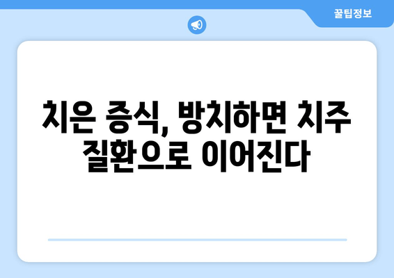 치은 증식| 치주 질환 위험 증가, 원인과 예방법 | 치주 질환, 잇몸 질환, 치은염, 치주염