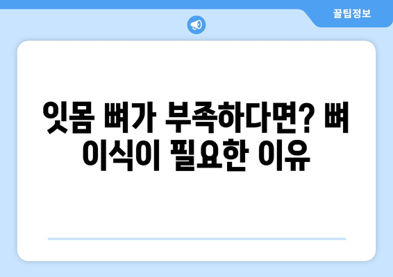 임플란트 뼈 이식 가격| 잇몸 뼈 상태 진단이 중요한 이유 | 임플란트, 뼈 이식, 비용, 잇몸 건강