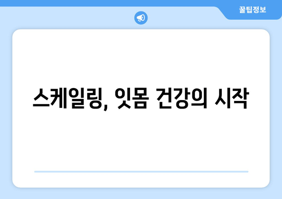 잇몸 건강을 위한 필수 단계! 스케일링이 중요한 이유 | 잇몸 질환 예방, 치주염, 잇몸 치료