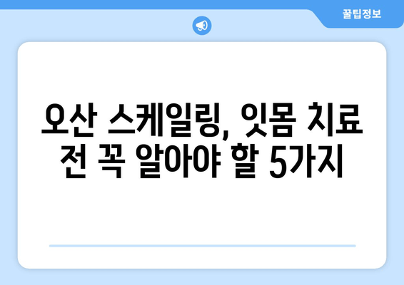 오산 스케일링 잇몸 치료, 주의해야 할 점 5가지 | 잇몸 건강, 치주 질환, 치과 선택 팁