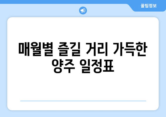 매월별 즐길 거리 가득한 양주 일정표