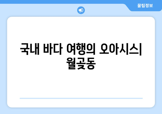 국내 바다 여행의 오아시스| 월곶동