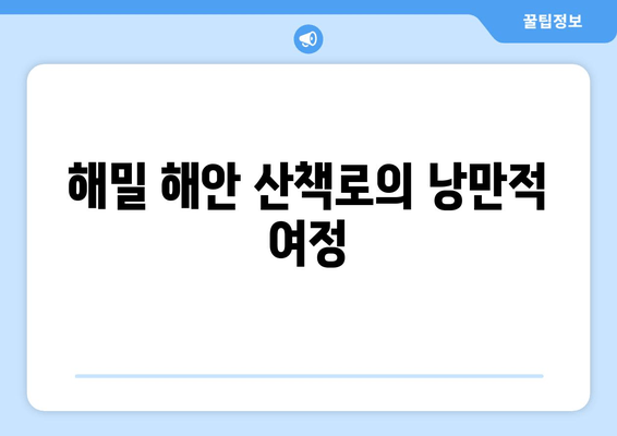 해밀 해안 산책로의 낭만적 여정