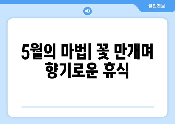 5월의 마법| 꽃 만개며 향기로운 휴식