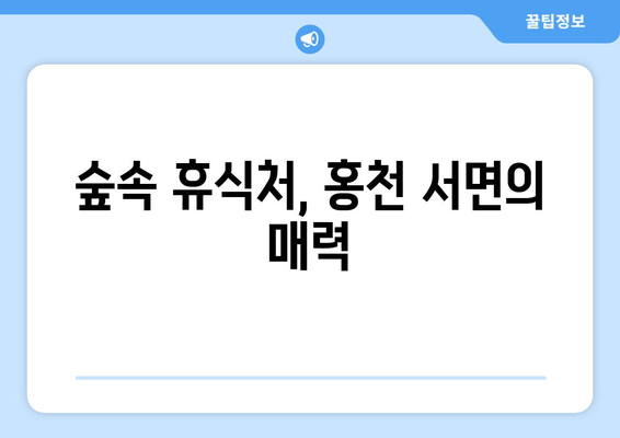 숲속 휴식처, 홍천 서면의 매력