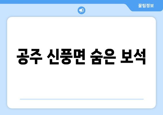 공주 신풍면 숨은 보석