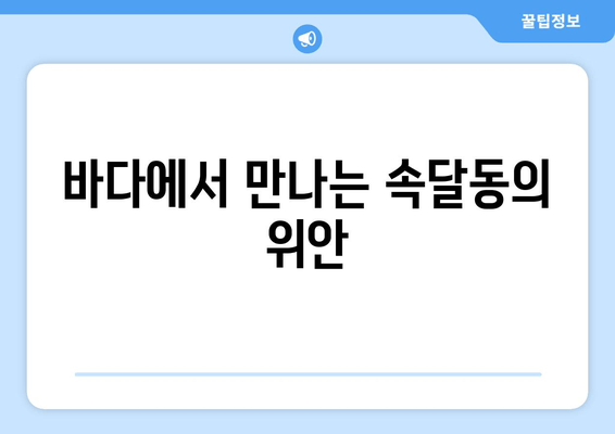 바다에서 만나는 속달동의 위안