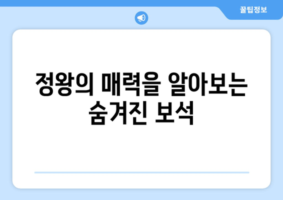 정왕의 매력을 알아보는 숨겨진 보석