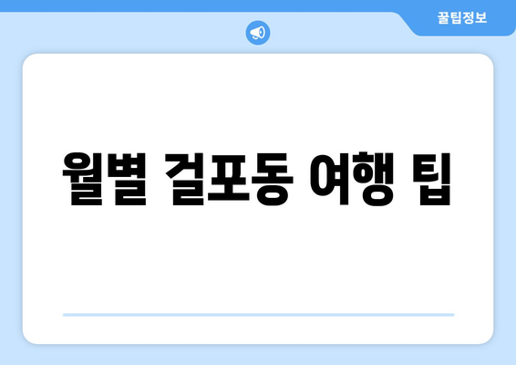 월별 걸포동 여행 팁