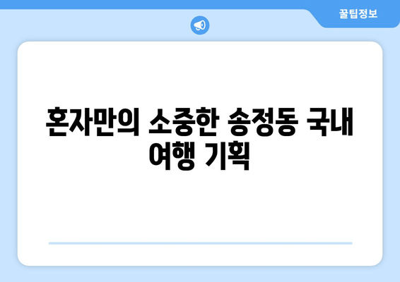 혼자만의 소중한 송정동 국내 여행 기획