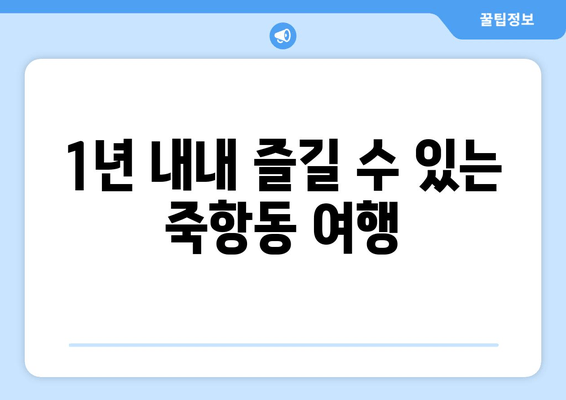 1년 내내 즐길 수 있는 죽항동 여행