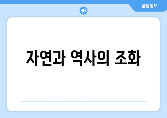 자연과 역사의 조화