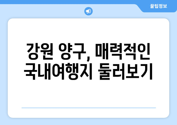 강원 양구, 매력적인 국내여행지 둘러보기