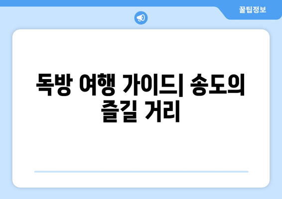 독방 여행 가이드| 송도의 즐길 거리