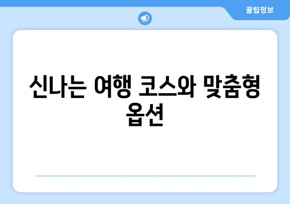 신나는 여행 코스와 맞춤형 옵션