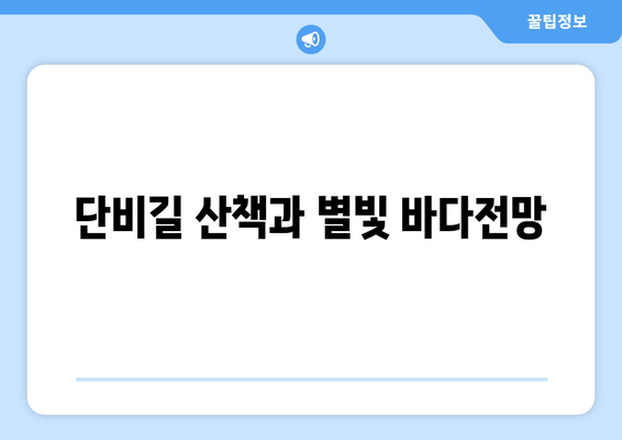 단비길 산책과 별빛 바다전망