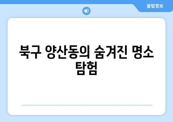 북구 양산동의 숨겨진 명소 탐험