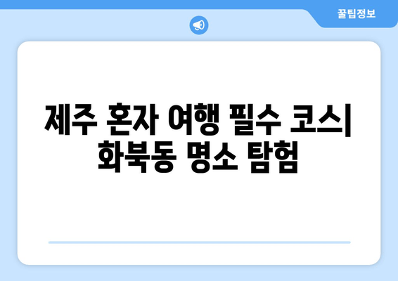 제주 혼자 여행 필수 코스| 화북동 명소 탐험